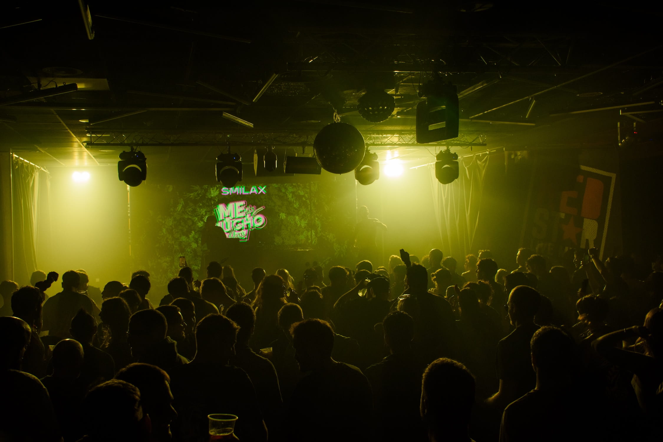 Smilax 22 concierto